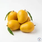 Aam Dasheri Mango of Pakistan